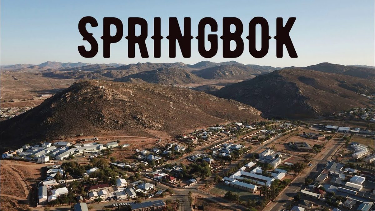 Springbok